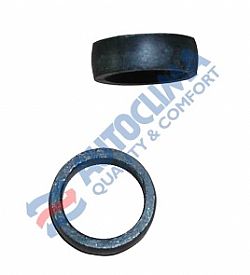 O-ring Frigoclic No 10